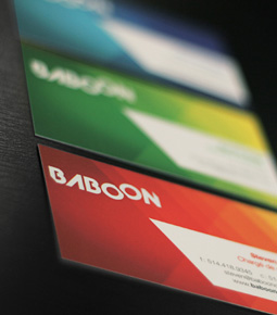 Baboon / Business cards