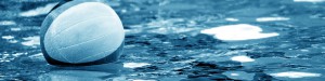 Tiburon Banner