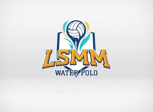 Logo design LSMM