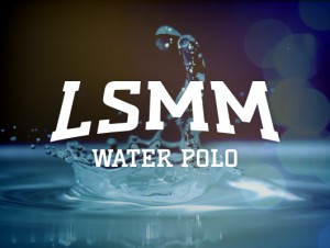 LSMM Logo Thumbnail