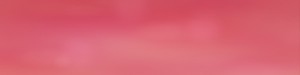Lancôme portfolio banner