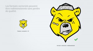 Exemple format vectoriel