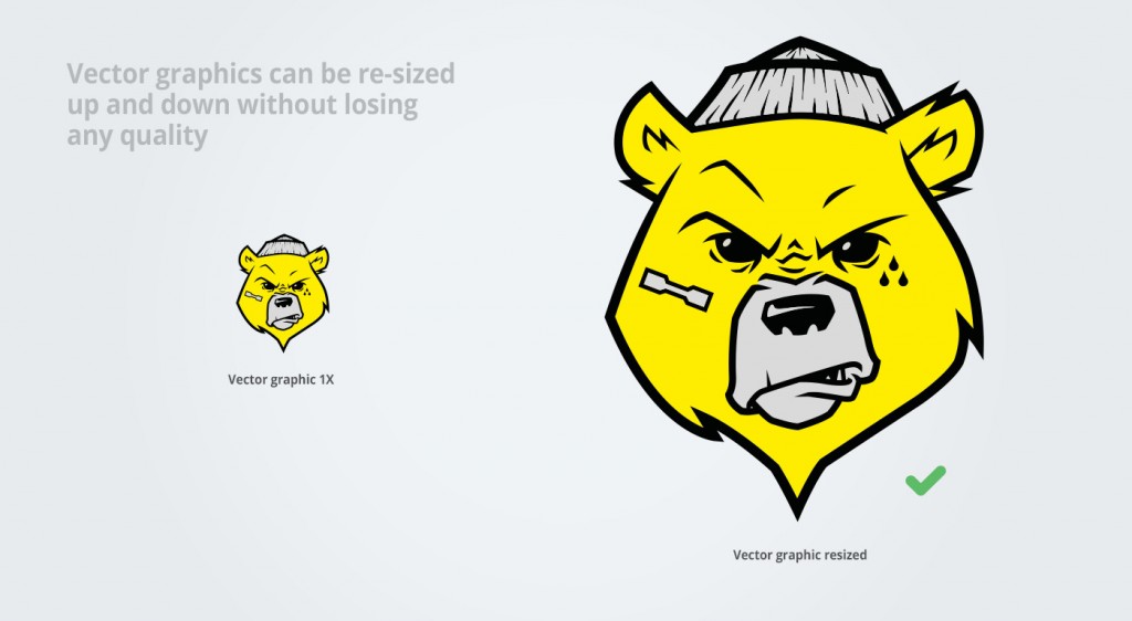 The difference between vector and bitmap graphics.