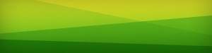 Baboon Olympics Banner