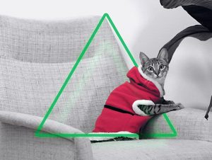 Holiday video cover 2