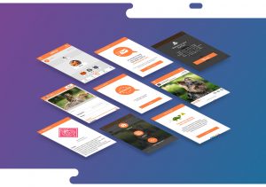 Application design for Montreal startup