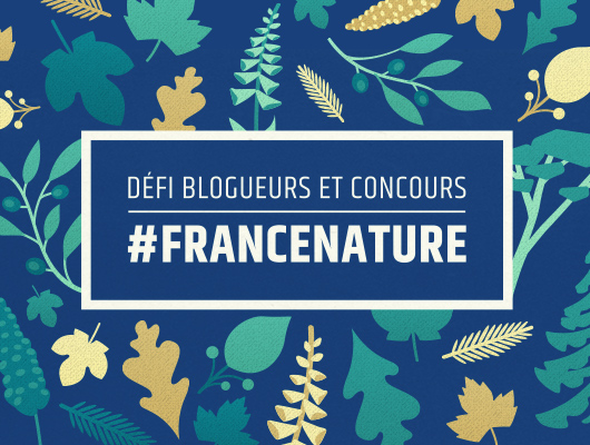 Branding and graphic design. France Nature.